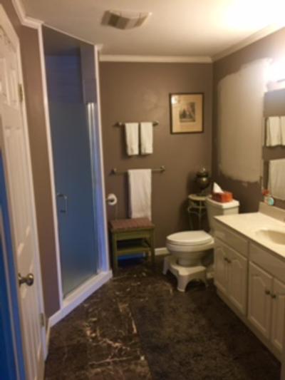 Sage Room Bathroom
